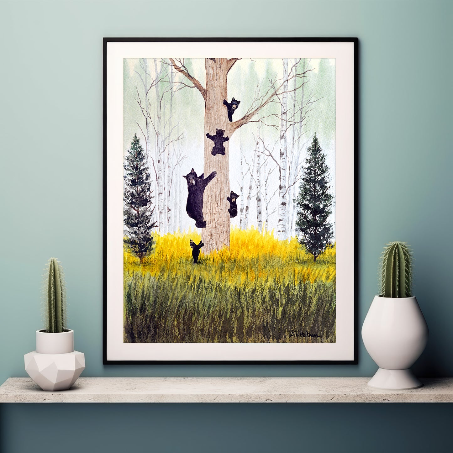 Bears Like Climbing Trees The Rockies