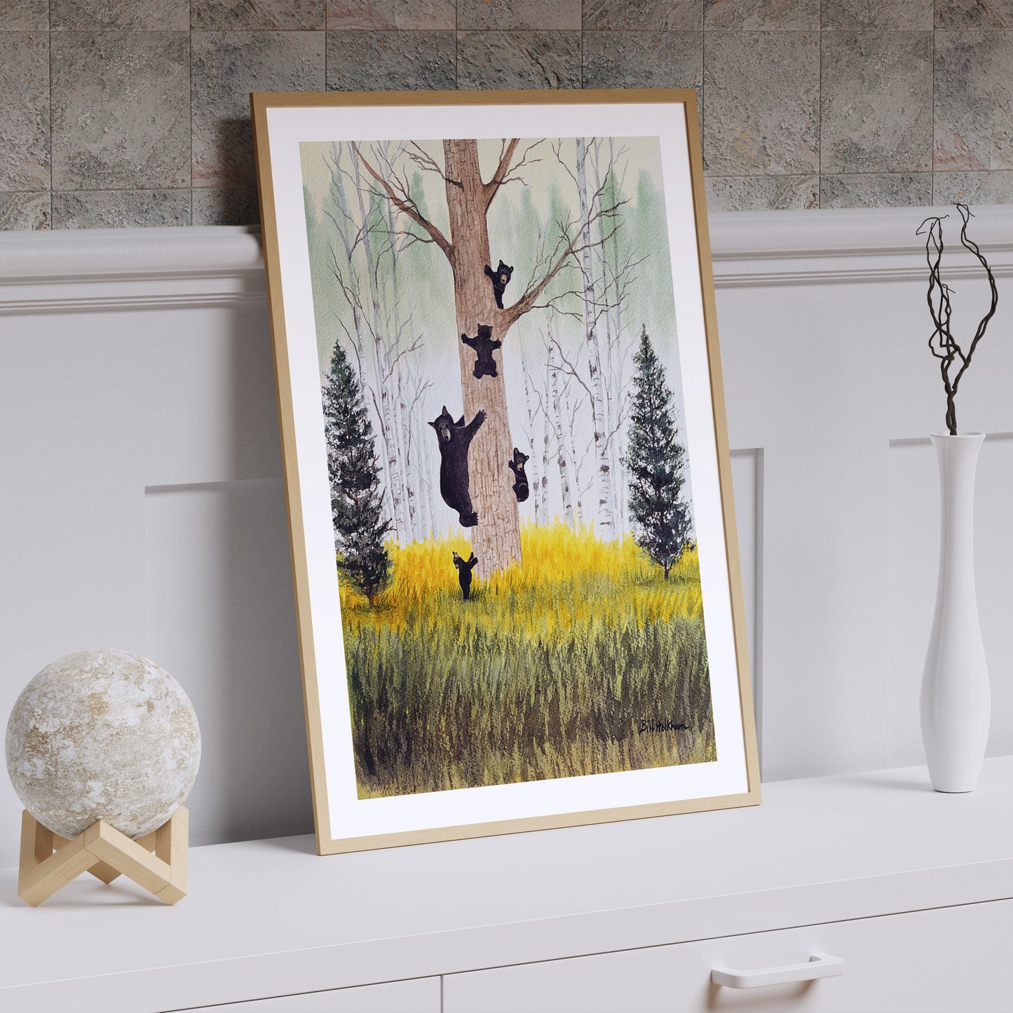 Bears Like Climbing Trees The Rockies