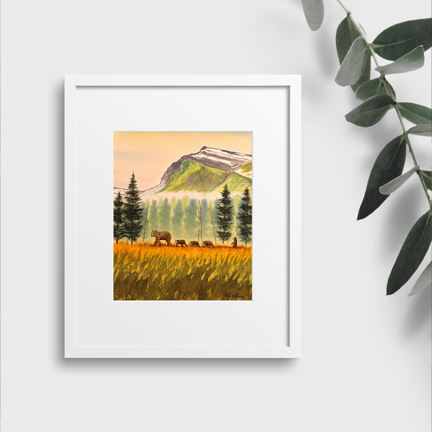 Bears On The Move The Rockies Canada