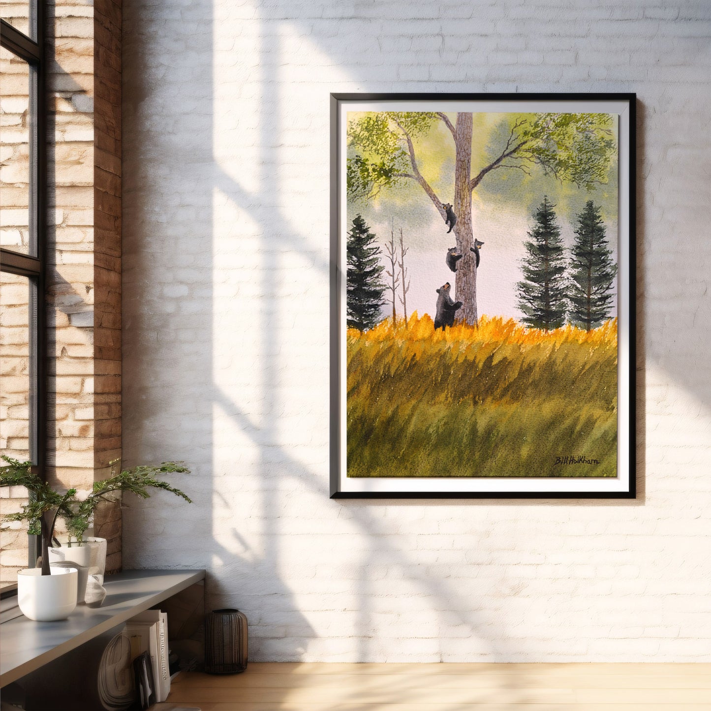 Climbing Bears In The Blue Ridge Mountains