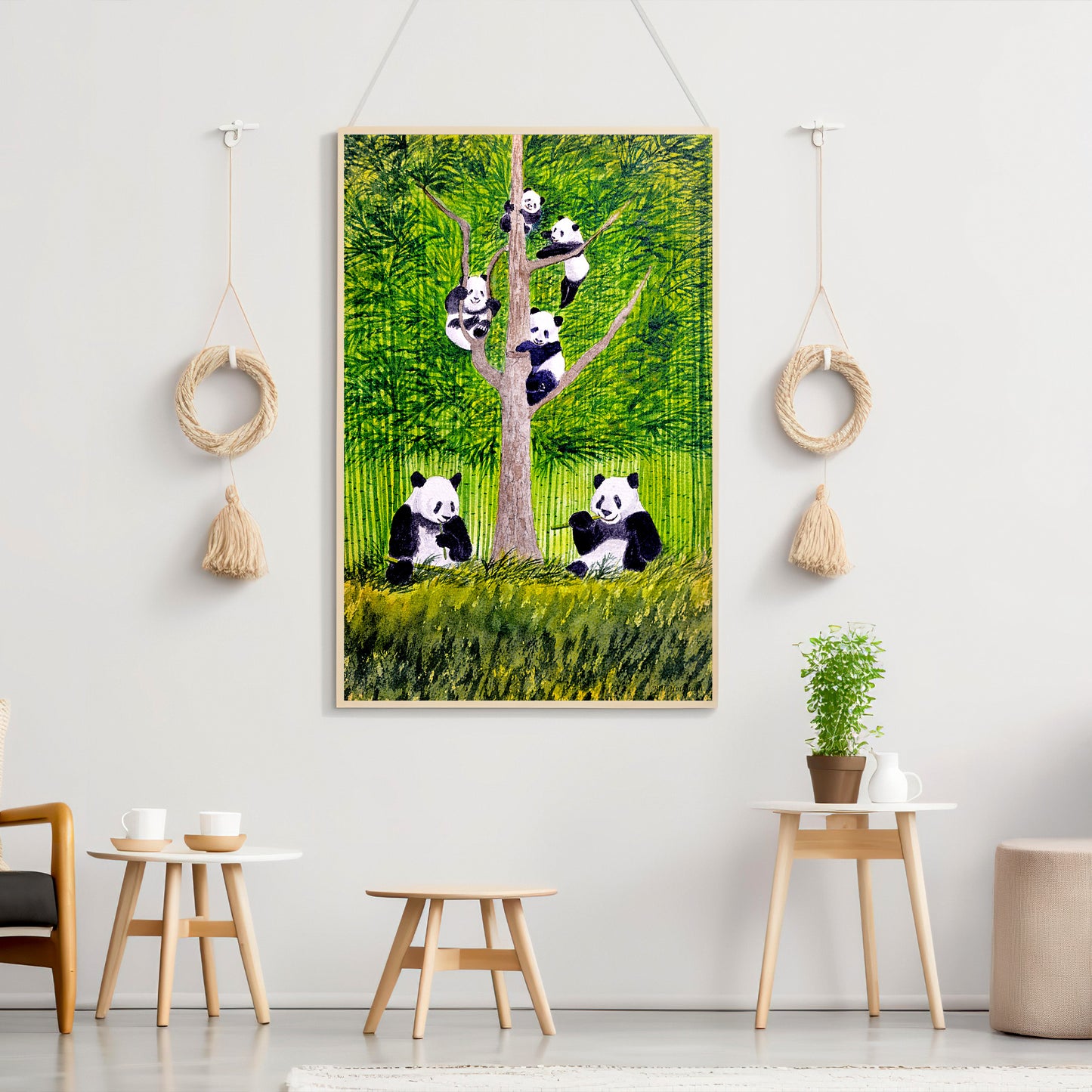 Giant Panda Bears China