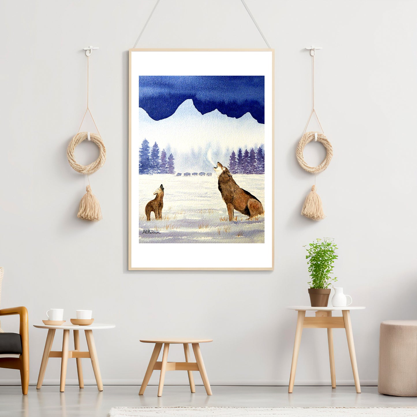 Howling Wolves Grand Teton National Park