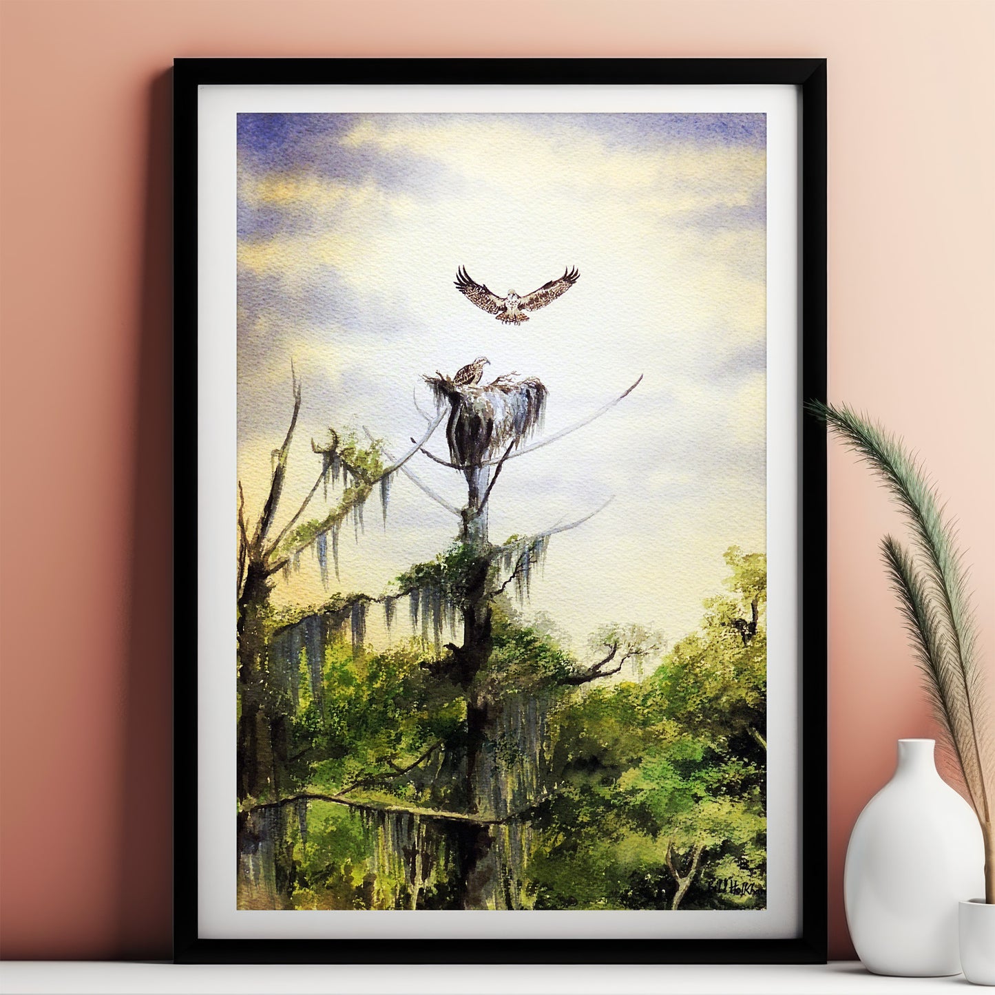 Nesting Ospreys At Wakulla River