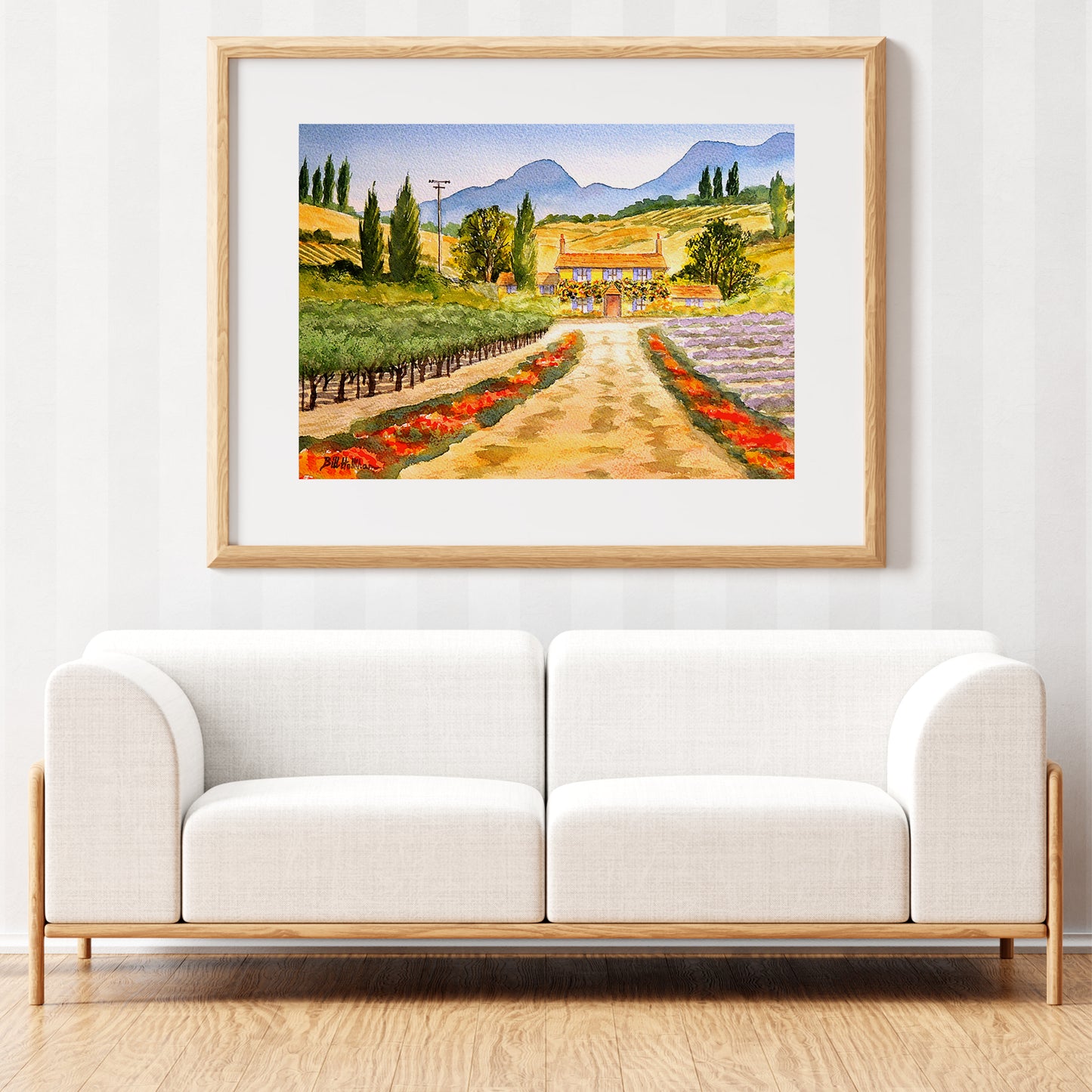 Vineyard Provence France