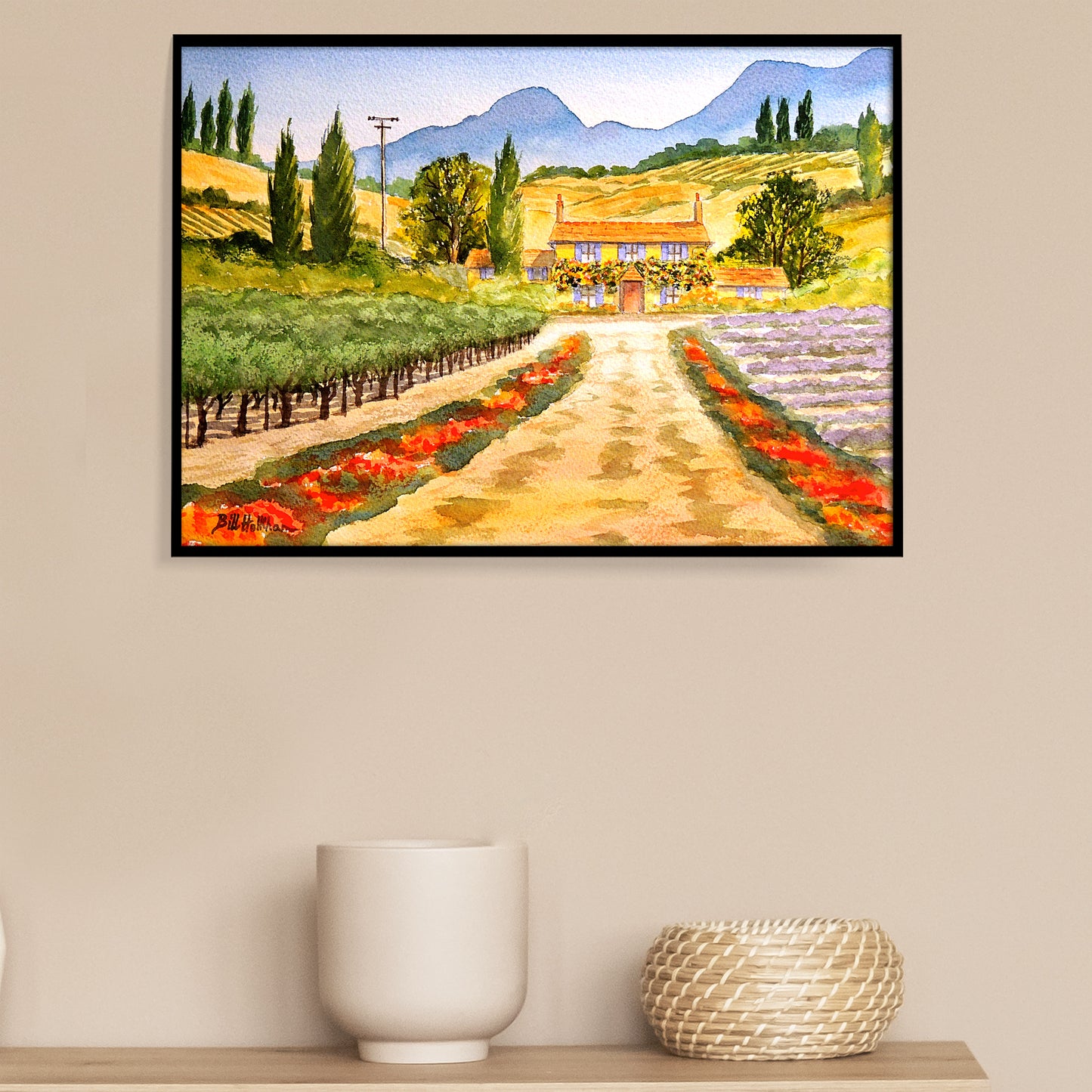 Vineyard Provence France