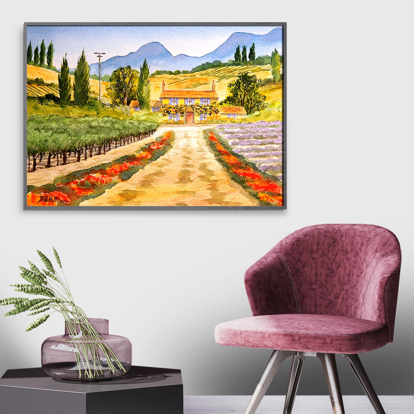 Vineyard Provence France