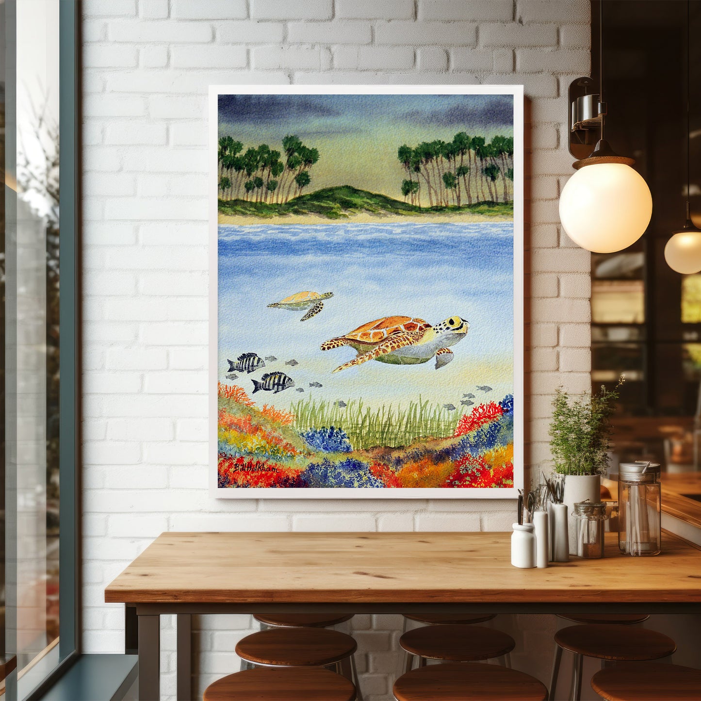 Turtles Of Hawaii