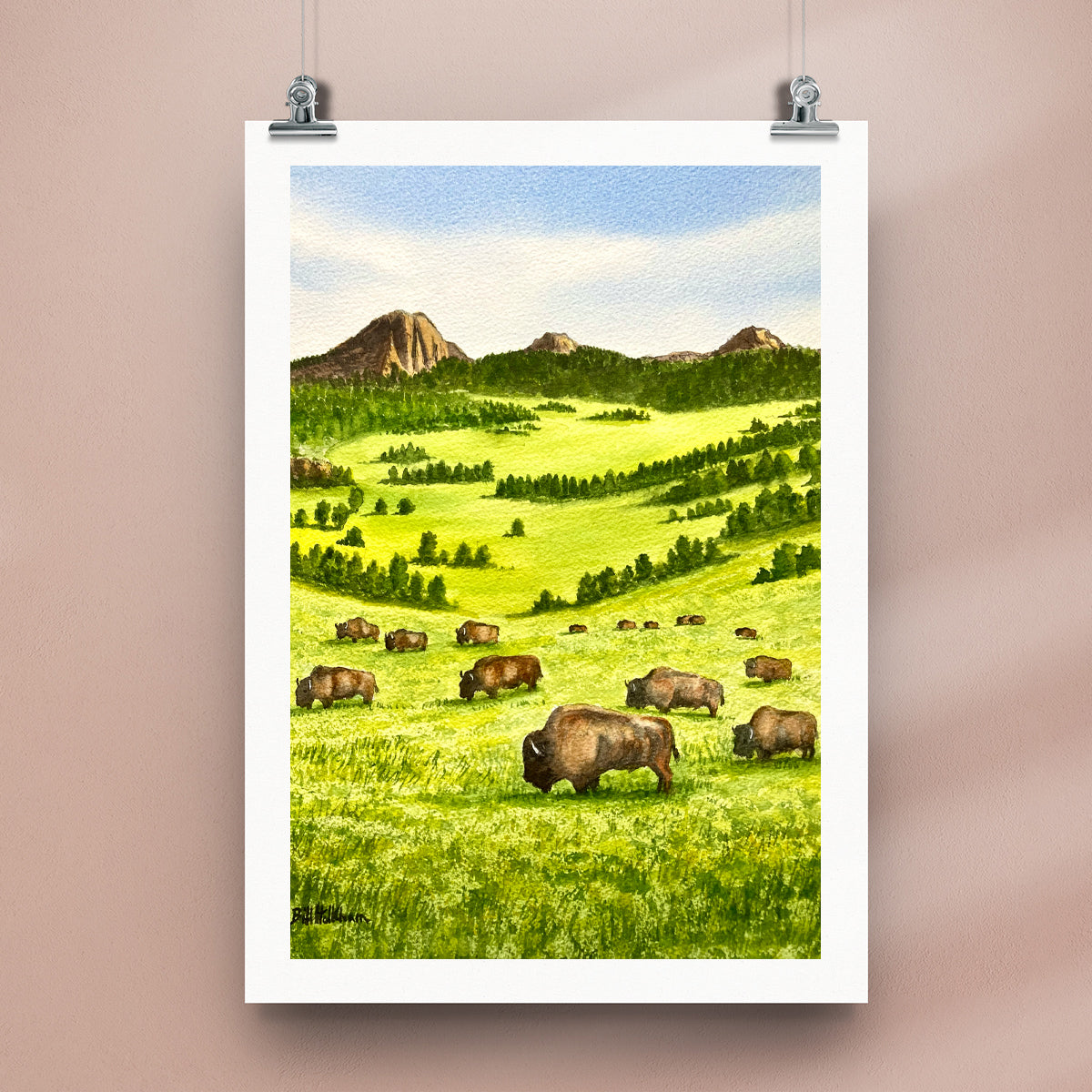 Buffalo Herd on the Plains