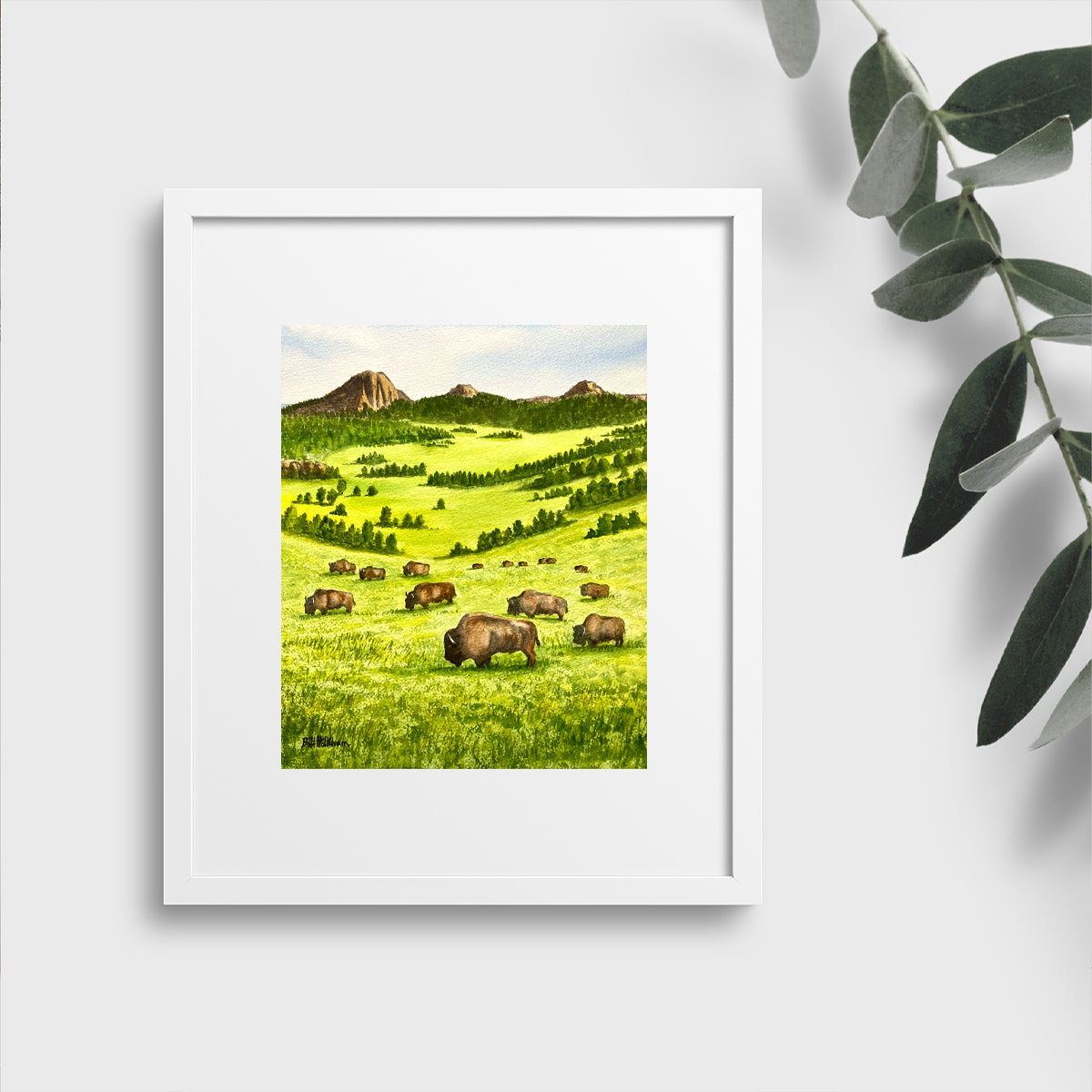 Buffalo Herd on the Plains