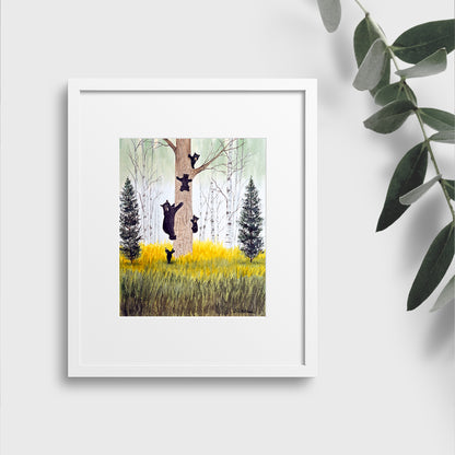 Bears Like Climbing Trees The Rockies