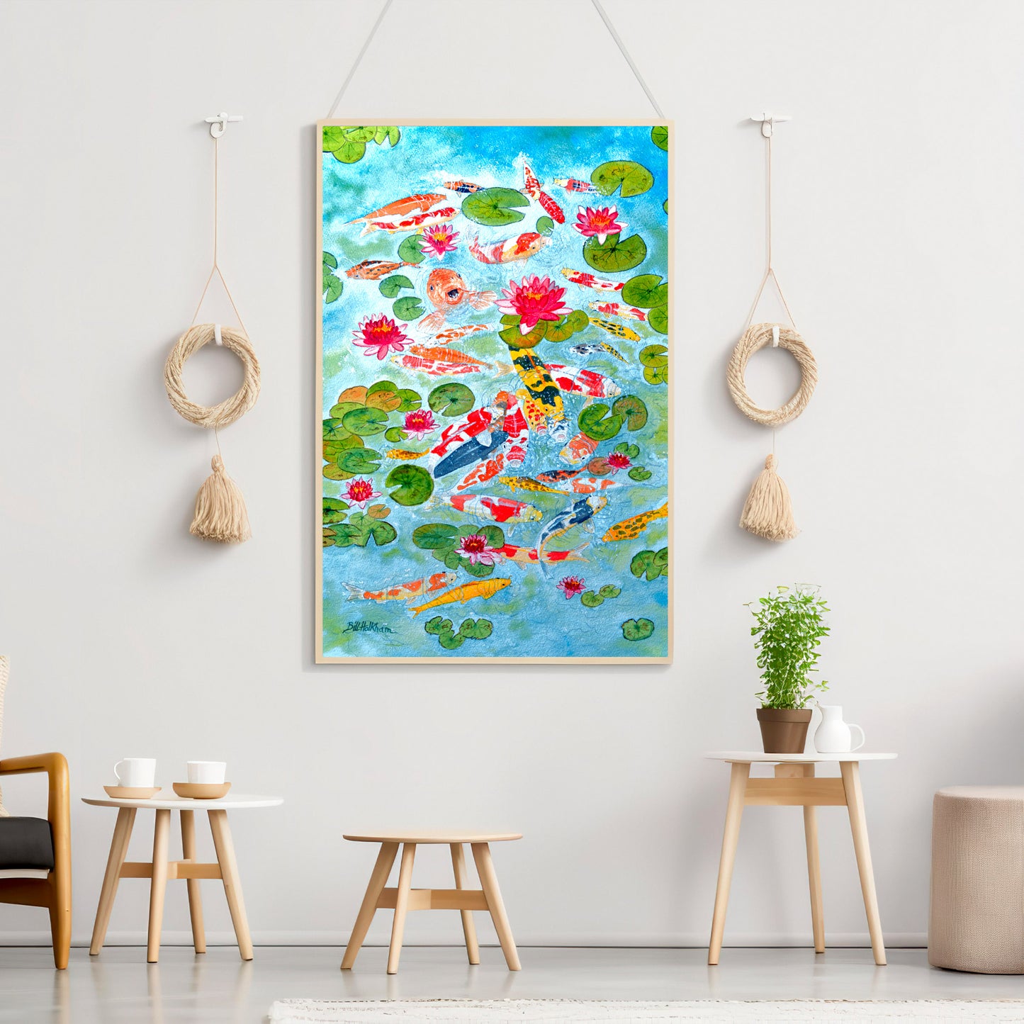 Koi Karp Galore