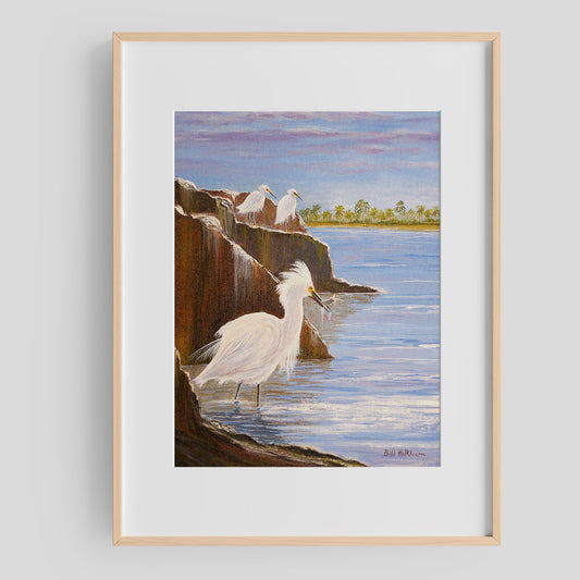 Snowy Egrets - Expert Fisherman