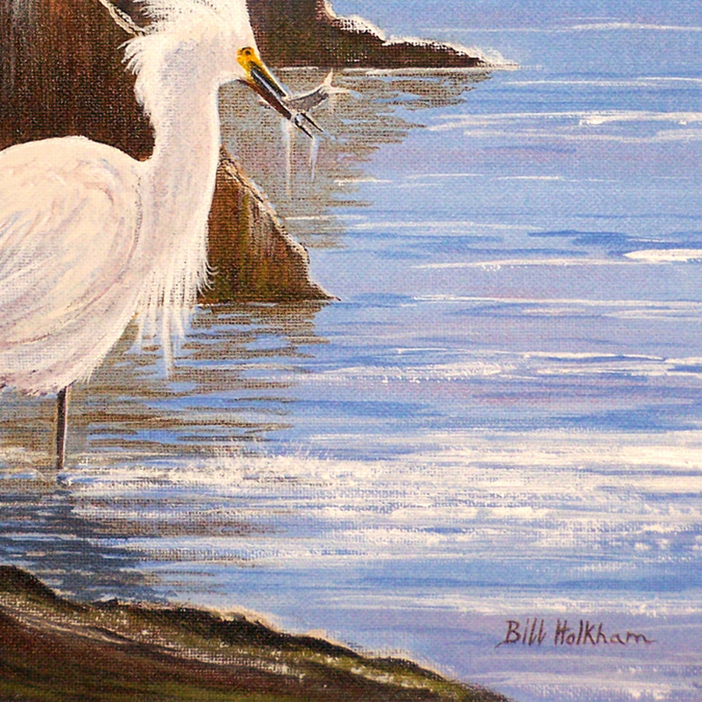 Snowy Egrets - Expert Fisherman