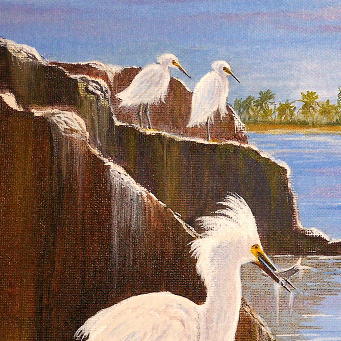 Snowy Egrets - Expert Fisherman