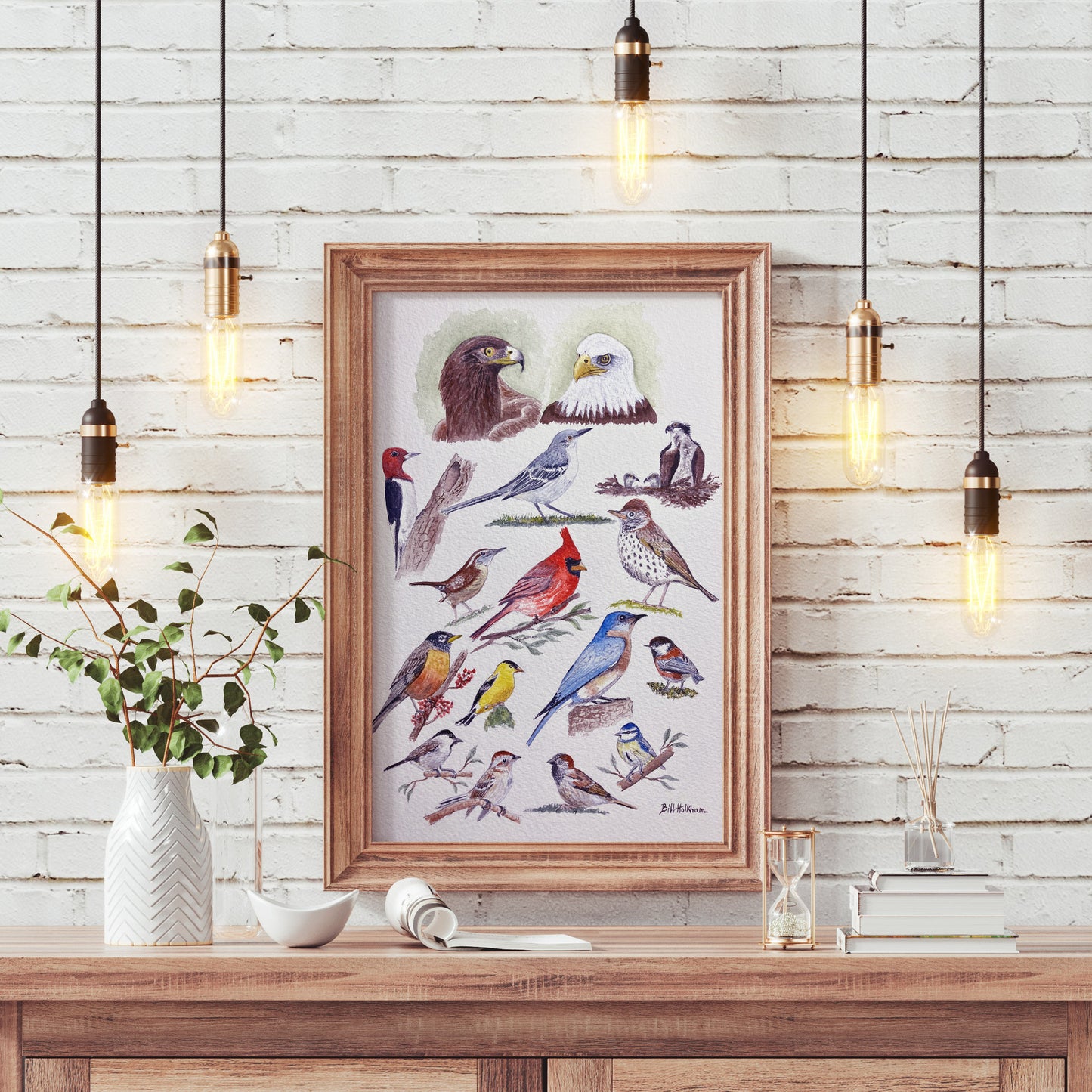 Birds Galore
