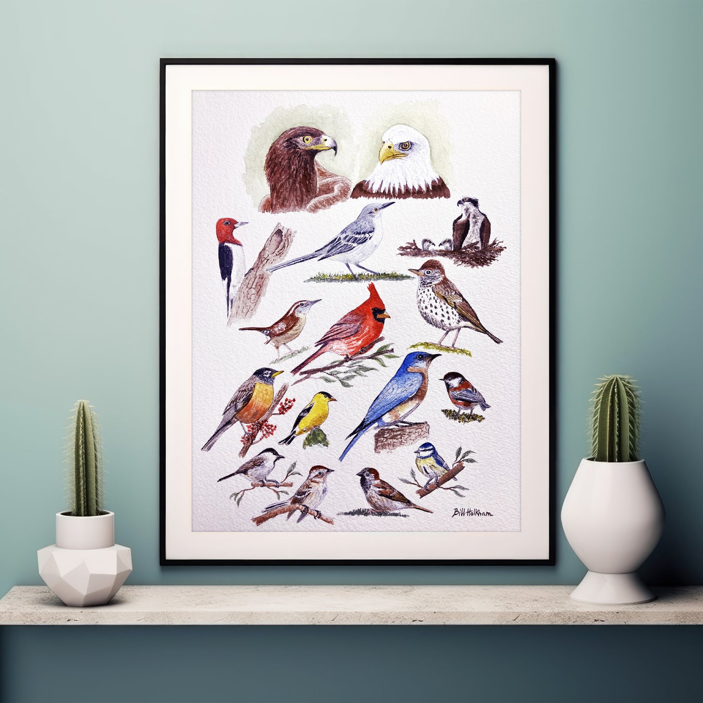 Birds Galore