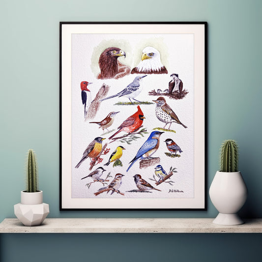 Birds Galore