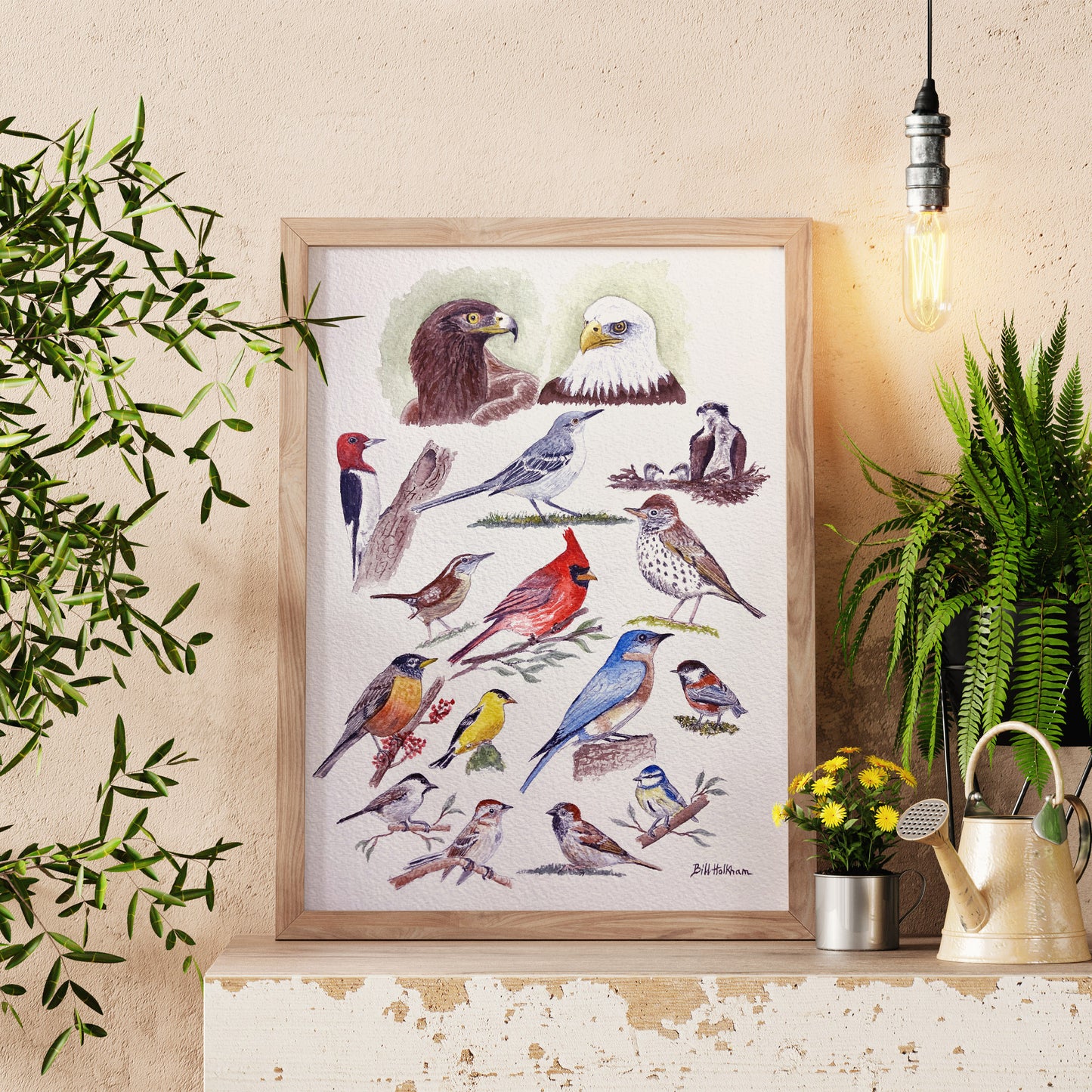 Birds Galore