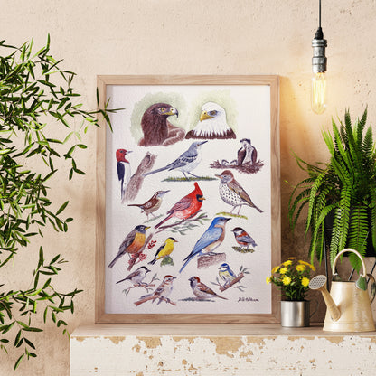 Birds Galore