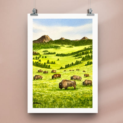 Buffalo Herd on the Plains